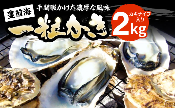 【先行予約】豊前海一粒かき 2kg 【2026年1月中旬以降順次発送】  《豊前市》【豊築漁業協同組合】 牡蠣 カキ かき 牡蛎 [VAG013]
