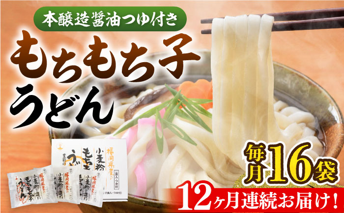 【全12回定期便】もちもち子うどん(16食入り)《豊前市》【富士菊】うどん 麺 [VAI069]