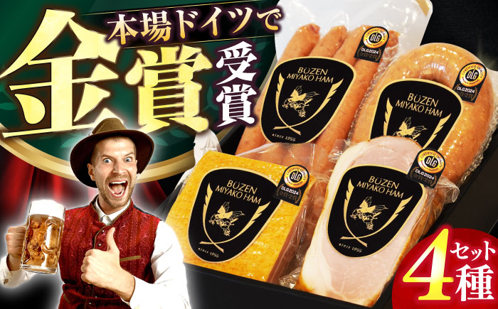 【ドイツで金賞受賞！】 DLG 2024 金賞 受賞 セット《豊前市》【みやこハム】 [VAN001] 肉 ハム ウインナー ベーコン ソーセージ 贈り物 ギフト ウインナーソーセージ ウインナー ソーセージ ベーコン ハム おつまみ ビール