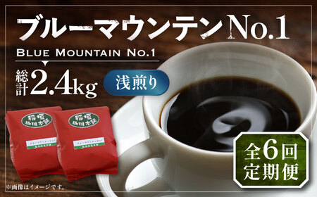 【全6回定期便】ブルーマウンテン NO.1 コーヒー ( 浅煎り ) 《豊前市》【稲垣珈琲】 珈琲 コーヒー 豆 粉 [VAS150]