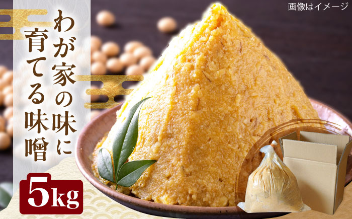 育てる味噌 5kg 《豊前市》　【浦野醤油醸造元】みそ　米味噌 [VAV019]