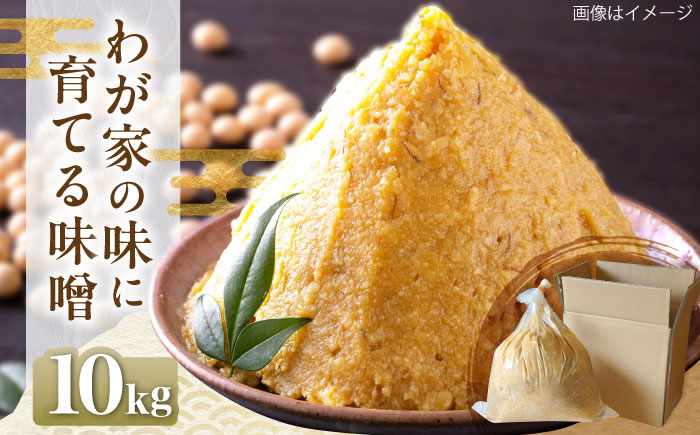 育てる味噌 10kg《豊前市》　【浦野醤油醸造元】みそ 米味噌 [VAV020]