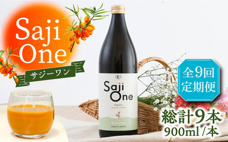 【全9回定期便】サジー ジュースが毎月届く！SajiOneオーガニック（1本）《豊前市》【ハウスボトラーズ】 [VAX029]