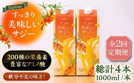 【全2回定期便】 美味しいサジーが毎月届く！すっきり美味しいサジー（2本）定期便2回《豊前市》【ハウスボトラーズ】 [VAX035]