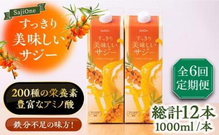【全6回定期便】 美味しいサジーが毎月届く！すっきり美味しいサジー（2本）定期便6回《豊前市》【ハウスボトラーズ】 [VAX039]