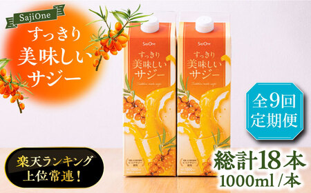【全9回定期便】 美味しいサジーが毎月届く！すっきり美味しいサジー（2本）定期便9回《豊前市》【ハウスボトラーズ】 [VAX042]