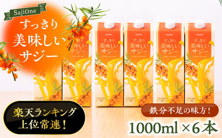 【3か月分を一回で配送】家族みんなでおいしく飲める！すっきり美味しいサジー（6本）《豊前市》【ハウスボトラーズ】 [VAX046]