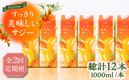 【全2回定期便】家族みんなでおいしく飲める！すっきり美味しい サジー 6本 《豊前市》【ハウスボトラーズ】 [VAX047]