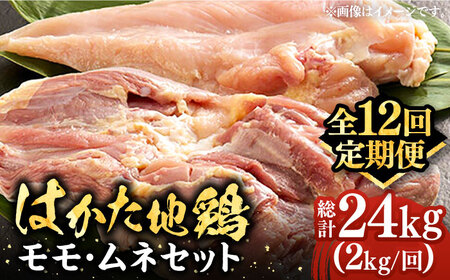 【全12回定期便】はかた地鶏モモムネセット 2kg（1kg×2p）《豊前市》【MEAT PLUS】鶏 鶏肉 もも 胸 [VBB060]