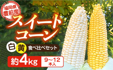 【先行予約受付　2026年6月頃より順次発送】【冷蔵配送】農家直送 朝どれ スイートコーン 白 黄 食べ比べ セット 約4kg （9～12本入り）《豊前市》【湯越農園】 野菜 コーン [VBC002] とうもろこし