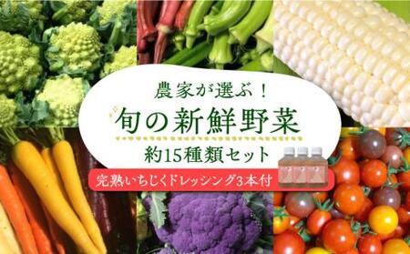 農家が選ぶ!旬の新鮮野菜セット約15種類と農家が作るドレッシング(200g×3本セット)《豊前市》【田村農産】産直 野菜 やさい 詰め合わせ ドレッシング [VBE003]