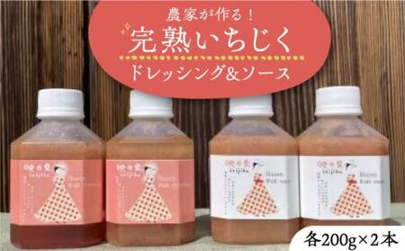 農家が作る!!完熟いちじくドレッシングと完熟いちじくソースのセット(200g×各2本)《豊前市》【田村農産】完熟 詰め合わせ ドレッシング 調味料 [VBE004]