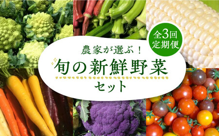 【全3回定期便】農家が選ぶ！ 旬の新鮮野菜セット《豊前市》【田村農産】産直 野菜 やさい 詰め合わせ [VBE008]