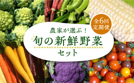 【全6回定期便】農家が選ぶ！ 旬の新鮮野菜セット《豊前市》【田村農産】産直 野菜 やさい 詰め合わせ [VBE009]