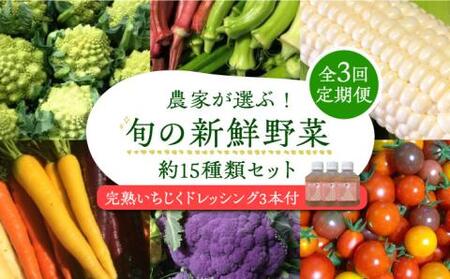【全3回定期便】農家が選ぶ!旬の新鮮野菜セット約15種類と農家が作るドレッシング(200g×3本セット)《豊前市》【田村農産】産直 野菜 やさい 詰め合わせ ドレッシング [VBE011]