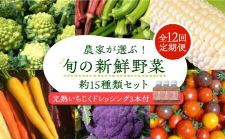 【全12回定期便】農家が選ぶ!旬の新鮮野菜セット約15種類と農家が作るドレッシング(200g×3本セット)《豊前市》【田村農産】産直 野菜 やさい 詰め合わせ ドレッシング [VBE013]