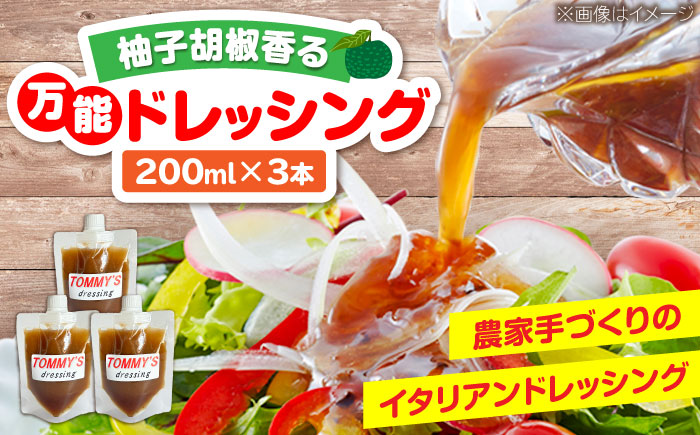 農家の作る！特製万能ドレッシング「TOMMY'S dressing」 200ml×3本 《豊前市》【田村農産】 ドレッシング 国産ドレッシング サラダドレッシング 万能調味料 人気 お取り寄せ [VBE014]