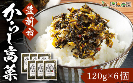 からし高菜120g×6個セット《豊前市》【株式会社瑞穂】 [VBG004]