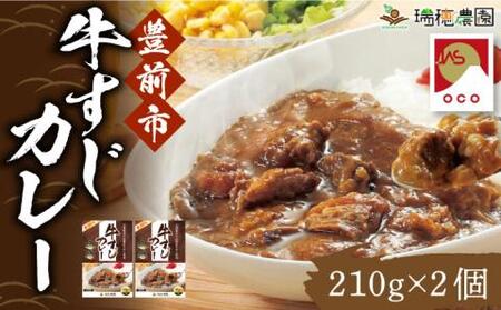 手づくり 牛すじ カレー 210g×2個 《豊前市》【瑞穂農園】 レトルトカレー カレーライス 牛肉 [VBG009]