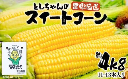 【2026年6月以降出荷分予約】下山農園 としちゃんの農家直送スイートコーン約4kg（11～13本入り）【豊前市】とうもろこし 野菜 BBQ [VBH001]