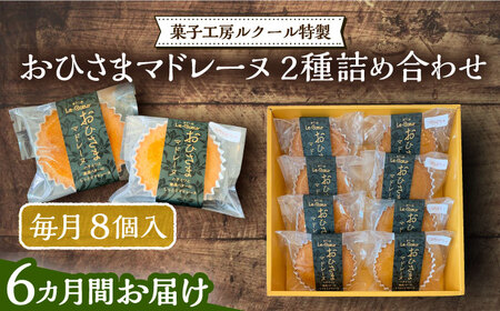 【全6回定期便】おひさまマドレーヌ8個詰め合わせ（プレーン・三毛門かぼちゃ各4）《豊前市》【菓子工房ルクール】 お菓子 菓子 詰め合わせ 洋菓子 マドレーヌ [VBI028]