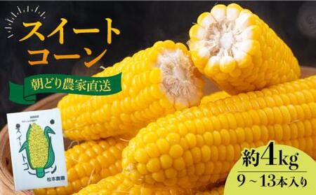 【先行予約】スイートコーン 約4kg （9～13本入り）【2026年6月より順次発送】 《豊前市》【松本農園】野菜 とうもろこし [VBT001]