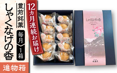 【全12回定期便】【進物箱】しゃくなげの香 10個入り《豊前市》【武蔵屋】お中元 ギフト 贈り物 和菓子 [VBU022]