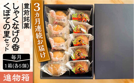 【全3回定期便】【進物箱】くぼての里 5個 しゃくなげの香 5個 詰合せ《豊前市》【武蔵屋】お中元 ギフト 贈り物 和菓子 [VBU035]