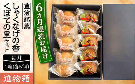 【全6回定期便】【進物箱】くぼての里 5個 しゃくなげの香 5個 詰合せ《豊前市》【武蔵屋】お中元 ギフト 贈り物 和菓子 [VBU036]