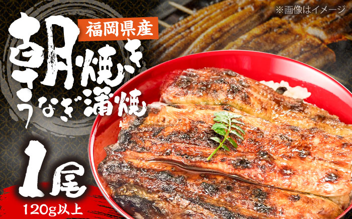 日本料理店「麻以虎」特製　朝焼きうなぎ　カット蒲焼 1尾 《豊前市》【四季の味　麻以虎】 [VBX009]