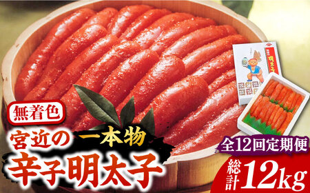【全12回定期便】【化粧箱 包装紙付】宮近 の 無着色 辛子明太子 1kg (1本物)《豊前市》【株式会社マル五】 明太子 めんたい 明太 [VCL065]