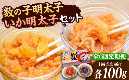 【全6回定期便】数の子明太子&いか明太子セット（各100g）【博多徳永とくとく珍味】《豊前市》【株式会社マル五】 [VCL067]