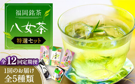 【全12回定期便】福岡銘茶八女茶 特選セット5種 合計550g 老舗製茶店の逸品《豊前市》【株式会社マル五】 [VCL125]