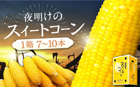 【先行予約】夜明けのスイートコーン 4kg×1箱 (7～10本) 【2026年6月以降順次発送】《豊前市》【アグリネックス】 とうもろこし コーン スイートコーン 14000円 [VCO001]