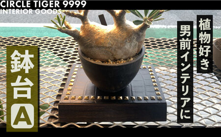 1点モノ 鉢台 A 《豊前市》【CIRCLE TIGER 9999】インテリア 植物 グリーン 室内 観葉植物 [VCS001]