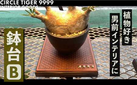 1点モノ 鉢台 B《豊前市》【CIRCLE TIGER 9999】インテリア 植物 グリーン 室内 観葉植物 [VCS002]