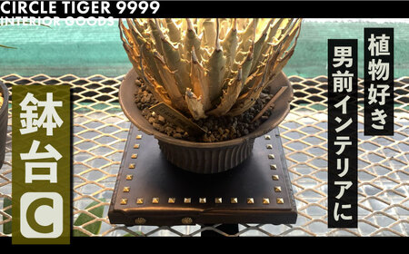 1点モノ 鉢台 C《豊前市》【CIRCLE TIGER 9999】インテリア 植物 グリーン 室内 観葉植物 [VCS003]