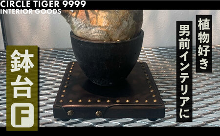 1点モノ 鉢台 F《豊前市》【CIRCLE TIGER 9999】インテリア 植物 グリーン 室内 観葉植物 [VCS006]