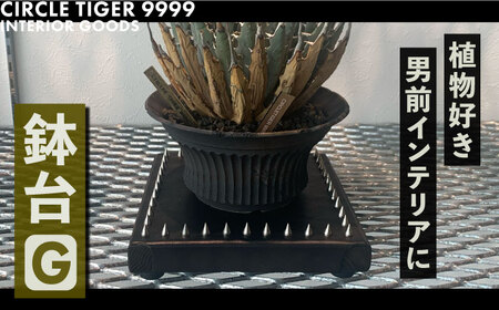 1点モノ 鉢台 G《豊前市》【CIRCLE TIGER 9999】インテリア 植物 グリーン 室内 観葉植物 [VCS007]