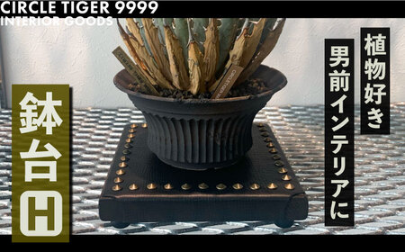 1点モノ 鉢台 H《豊前市》【CIRCLE TIGER 9999】インテリア 植物 グリーン 室内 観葉植物 [VCS008]