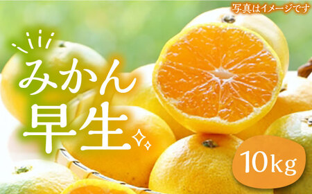 ミカン 早生 10kg《豊前市》【山田農場 フルーツランド】ミカン みかん 早生みかん [VCY009]