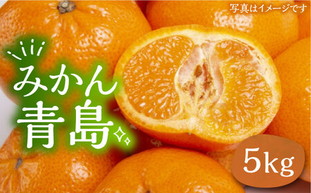 ミカン 青島 5kg《豊前市》【山田農場 フルーツランド】ミカン みかん 青島みかん [VCY011]