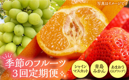 【全3回定期便】フルーツ定期便 《豊前市》【山田農場 フルーツランド】 果物 くだもの フルーツ [VCY015]