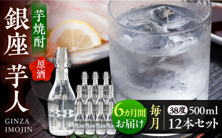 【全6回定期便】芋焼酎 銀座芋人 （原酒）　500ml×12本（38度）《豊前市》【後藤酒造合資会社】 焼酎 酒 いも焼酎 [VDA022]