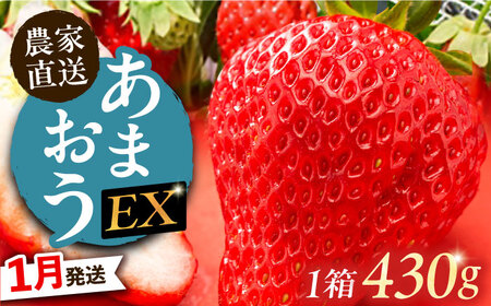 【1月発送】贈答用 あまおう 430g以上×1箱 エクセレント 《豊前市》【山口農園】果物 いちご イチゴ 苺 [VDE001]
