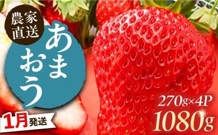 【1月発送】あまおう 1080g (270g以上×4P) 《豊前市》【山口農園】果物 いちご イチゴ 苺 [VDE002]