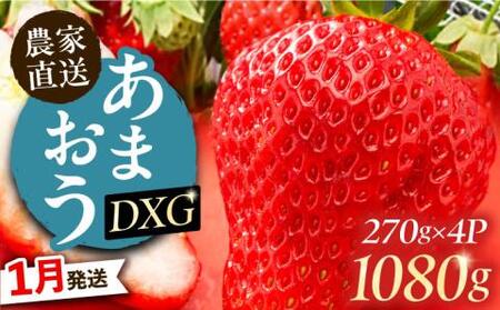 【1月発送】あまおう DXG 1080g (270g以上×4P) 《豊前市》【山口農園】果物 いちご イチゴ 苺 [VDE003]