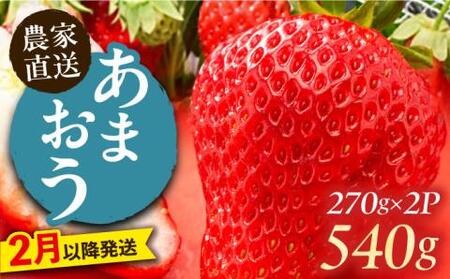 【2月以降発送】あまおう 540g (270g以上×2P) 《豊前市》【山口農園】果物 いちご イチゴ 苺 [VDE006]