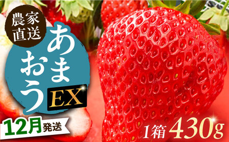 【12月発送】 あまおう 贈答用 エクセレント 430g以上×1箱 《豊前市》【山口農園】果物 いちご [VDE010]