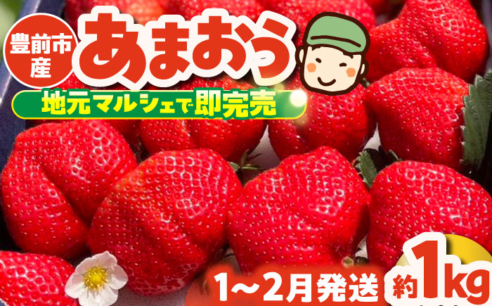 【先行予約】津田くん農園のあまおう 1kg 【2026年1月5日-2月末発送】《豊前市》【株式会社くしだ企画】苺 いちご あまおう [VDG001]
